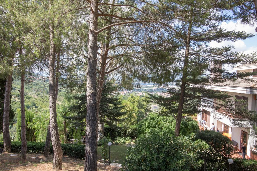 Aurum B&B San Giovanni Teatino Szoba fotó
